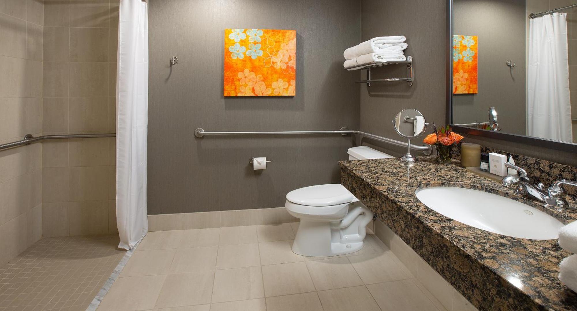 King Room Roll Shower Disability Access