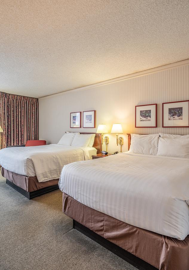 Standard Room with Two Double Beds