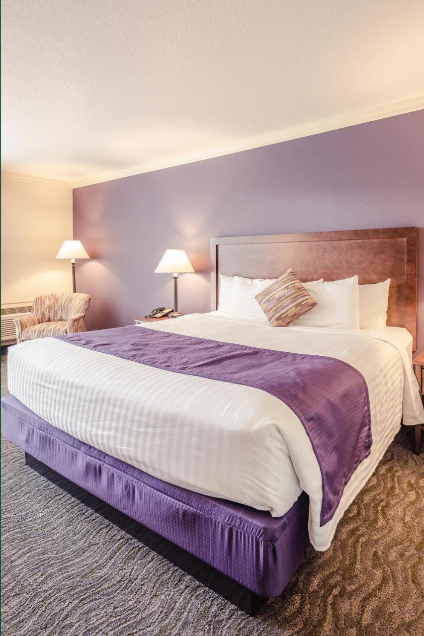 Comfort King Room