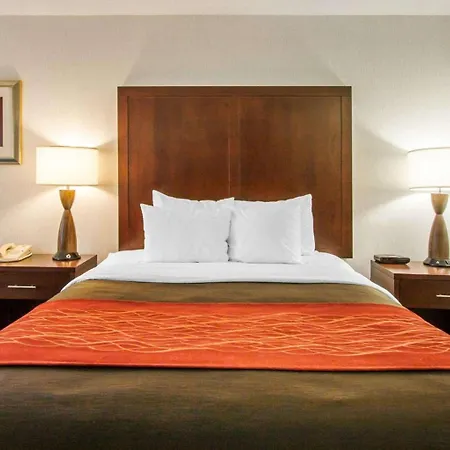 Comfort Inn & Suites-Portland Airport-3